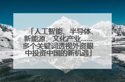 人工智能、半导体、新能源、文化产业……多个关键词透视外资眼中投资中国的新机遇