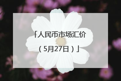 人民币市场汇价（5月27日）