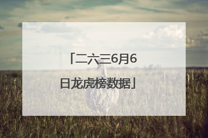 二六三6月6日龙虎榜数据