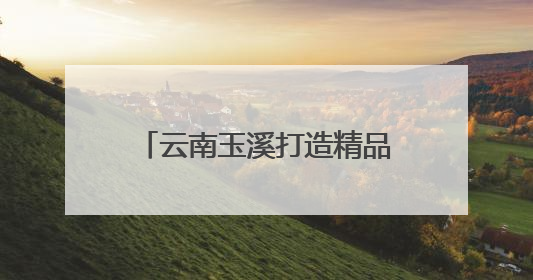 云南玉溪打造精品“云花”产区 蝴蝶兰飘香东南亚