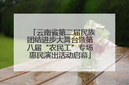 云南省第二届民族团结进步大舞台暨第八届“农民工”专场惠民演出活动启幕