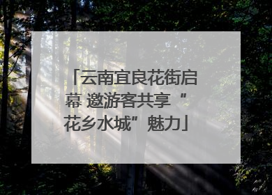 云南宜良花街启幕 邀游客共享“花乡水城”魅力