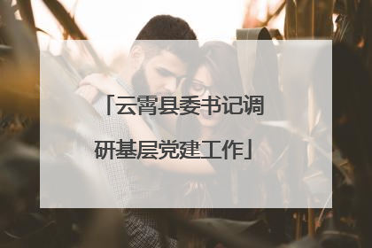 云霄县委书记调研基层党建工作