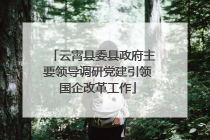 云霄县委县政府主要领导调研党建引领国企改革工作