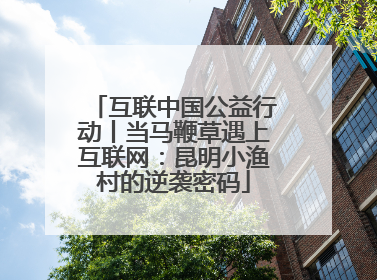 互联中国公益行动丨当马鞭草遇上互联网：昆明小渔村的逆袭密码