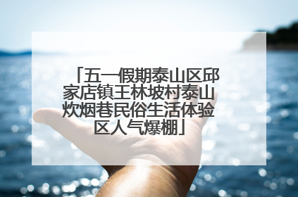 五一假期泰山区邱家店镇王林坡村泰山炊烟巷民俗生活体验区人气爆棚