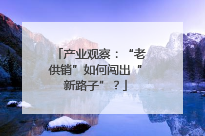 产业观察：“老供销”如何闯出“新路子”？