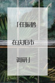 任振鹤在庆阳市调研