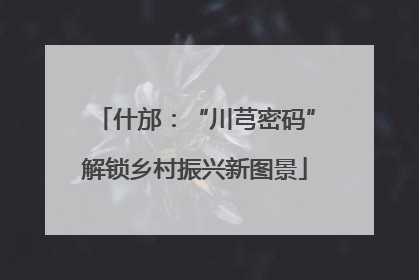 什邡：“川芎密码”解锁乡村振兴新图景