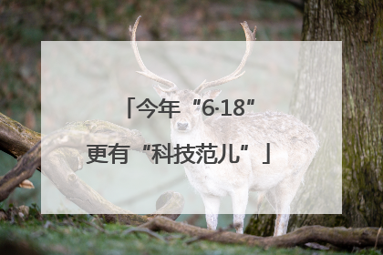 今年“6·18”更有“科技范儿”