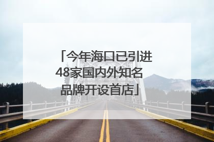 今年海口已引进48家国内外知名品牌开设首店