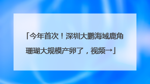 今年首次！深圳大鹏海域鹿角珊瑚大规模产卵了，视频→