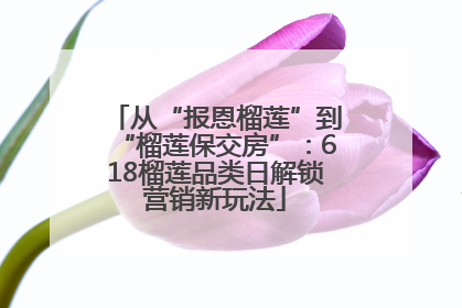 从“报恩榴莲”到“榴莲保交房”：618榴莲品类日解锁营销新玩法