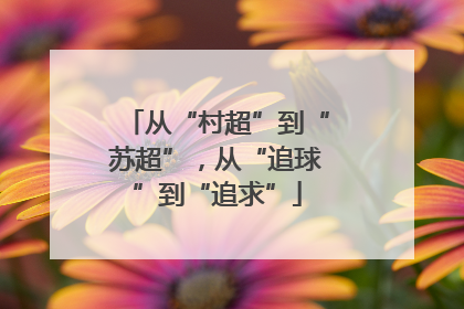 从“村超”到“苏超”，从“追球”到“追求”