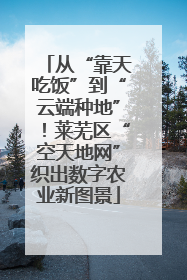 从“靠天吃饭”到“云端种地”！莱芜区“空天地网”织出数字农业新图景