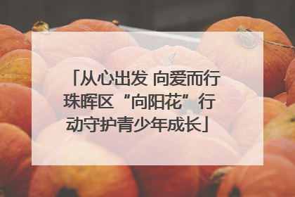 从心出发 向爱而行 珠晖区“向阳花”行动守护青少年成长