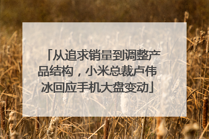 从追求销量到调整产品结构，小米总裁卢伟冰回应手机大盘变动