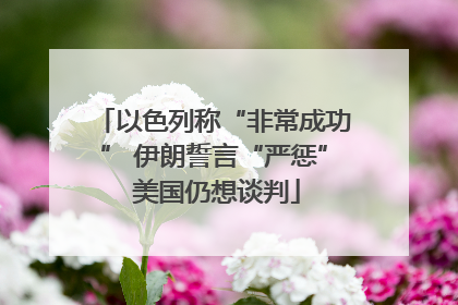 以色列称“非常成功” 伊朗誓言“严惩” 美国仍想谈判