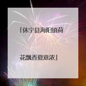 休宁县海阳镇荷花飘香夏意浓