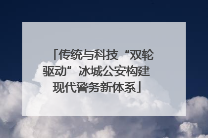 传统与科技“双轮驱动”冰城公安构建现代警务新体系