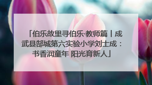 伯乐故里寻伯乐·教师篇丨成武县郜城第六实验小学刘士成：书香润童年 阳光育新人