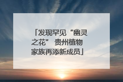 发现罕见“幽灵之花” 贵州植物家族再添新成员