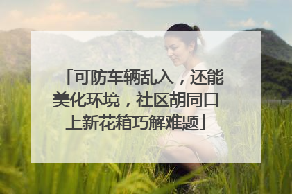 可防车辆乱入，还能美化环境，社区胡同口上新花箱巧解难题