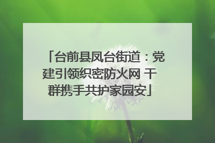 台前县凤台街道：党建引领织密防火网 干群携手共护家园安