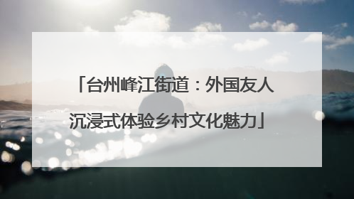 台州峰江街道：外国友人沉浸式体验乡村文化魅力