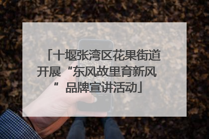 十堰张湾区花果街道开展“东风故里育新风”品牌宣讲活动