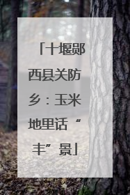 十堰郧西县关防乡：玉米地里话“丰”景