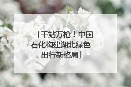 千站万枪！中国石化构建湖北绿色出行新格局