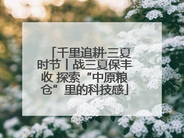 千里追耕·三夏时节丨战三夏保丰收 探索“中原粮仓”里的科技感
