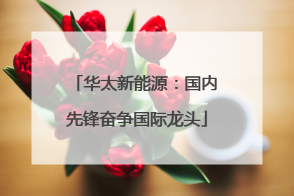 华太新能源：国内先锋奋争国际龙头