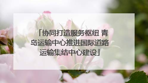 协同打造服务枢纽 青岛运输中心推进国际道路运输集结中心建设