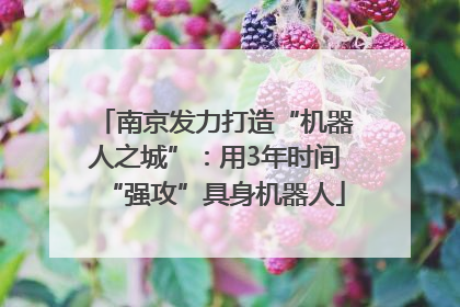 南京发力打造“机器人之城”：用3年时间“强攻”具身机器人