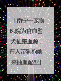 南宁一宠物医院为贫血警犬征集血源，有人带狗狗前来抽血配型