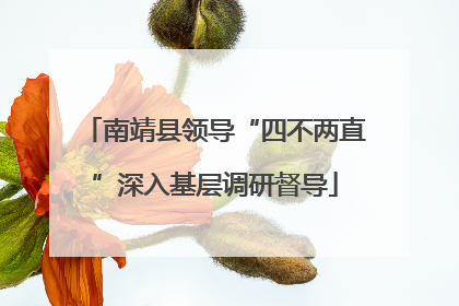 南靖县领导“四不两直”深入基层调研督导