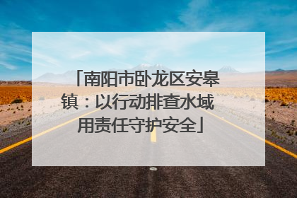 南阳市卧龙区安皋镇：以行动排查水域 用责任守护安全