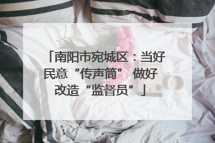 南阳市宛城区：当好民意“传声筒” 做好改造“监督员”