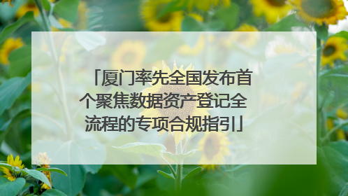 厦门率先全国发布首个聚焦数据资产登记全流程的专项合规指引