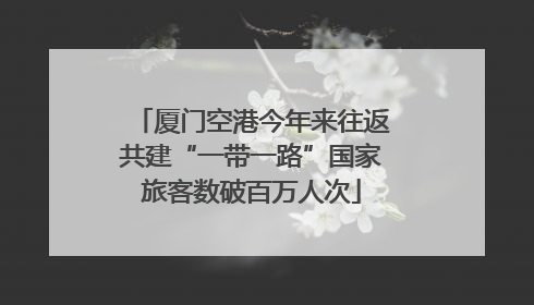 厦门空港今年来往返共建“一带一路”国家旅客数破百万人次