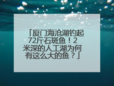 厦门海沧湖钓起72斤石斑鱼！2米深的人工湖为何有这么大的鱼？