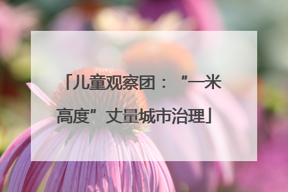儿童观察团：“一米高度”丈量城市治理