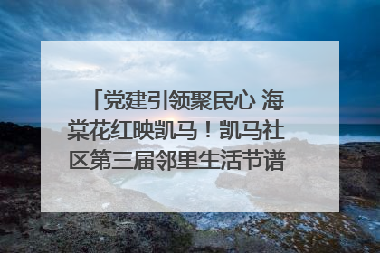 党建引领聚民心 海棠花红映凯马！凯马社区第三届邻里生活节谱写幸福新篇章