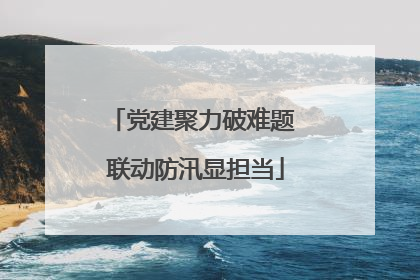 党建聚力破难题 联动防汛显担当