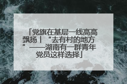 党旗在基层一线高高飘扬丨“去有村的地方”——湖南有一群青年党员这样选择