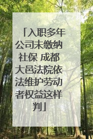 入职多年公司未缴纳社保 成都大邑法院依法维护劳动者权益这样判