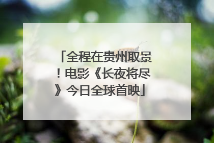 全程在贵州取景！电影《长夜将尽》今日全球首映