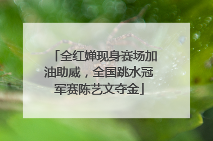 全红婵现身赛场加油助威，全国跳水冠军赛陈艺文夺金
